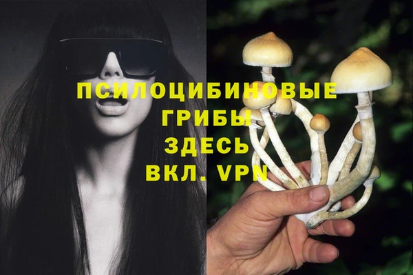 герыч Верхний Тагил