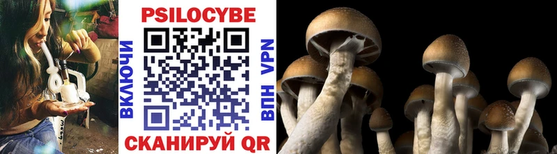 Галлюциногенные грибы Psilocybine cubensis  где продают наркотики  Исилькуль 